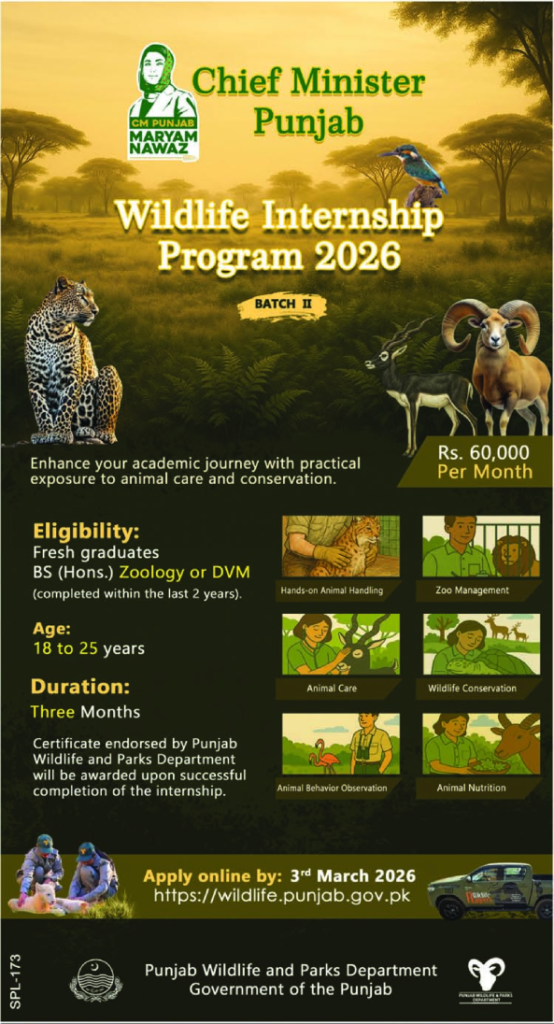 Wildlife Internship Program 2026