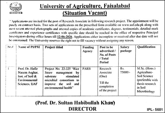 University of Agriculture Faisalabad Research Associate Jobs 2026 – Excellent Career Opportunity 3 758652 1 pakrailjobs